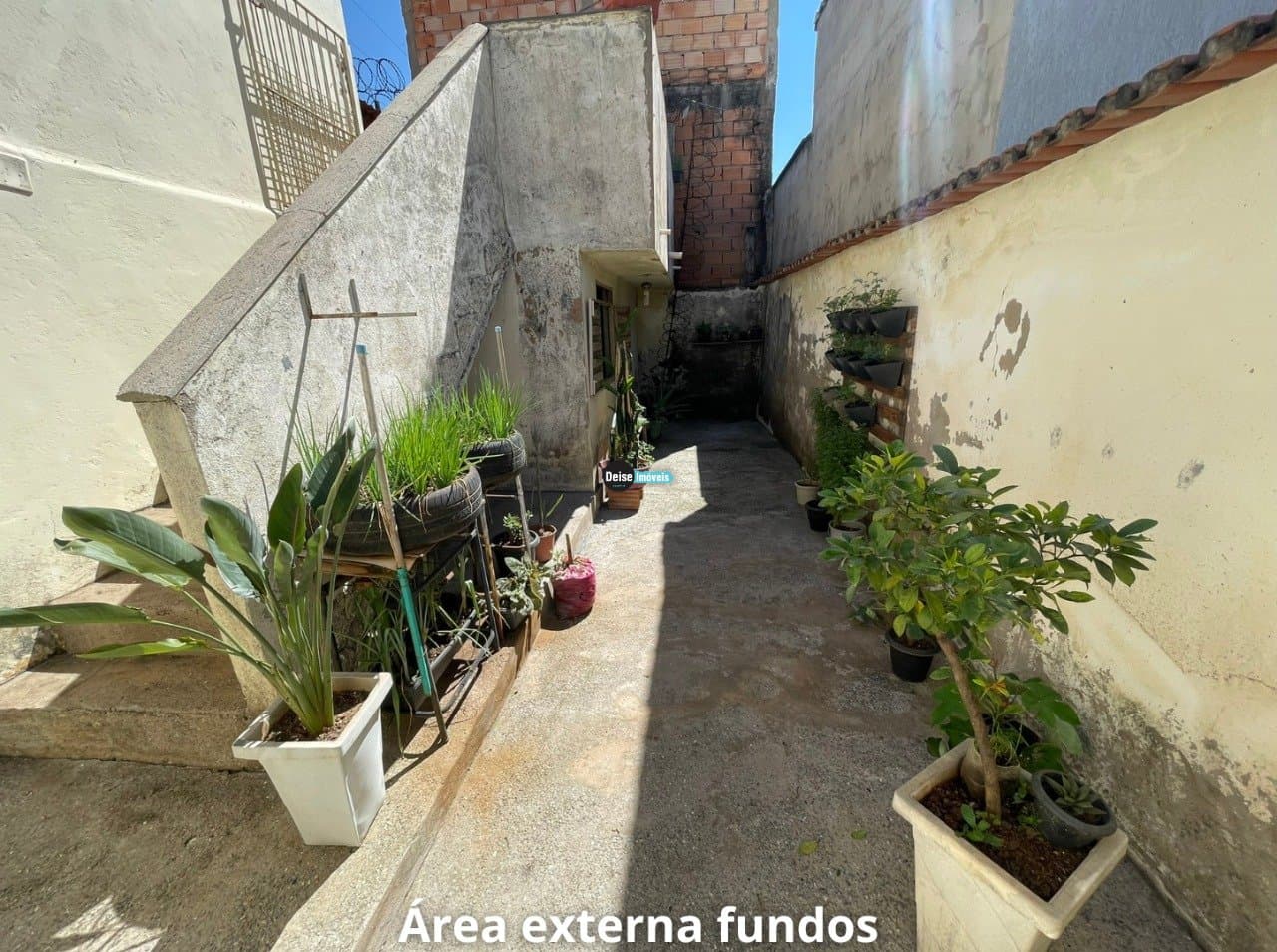 Imagem da propriedade 1493 20