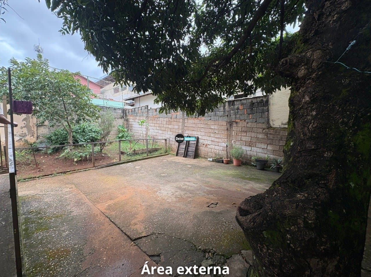 Imagem da propriedade 2360 16
