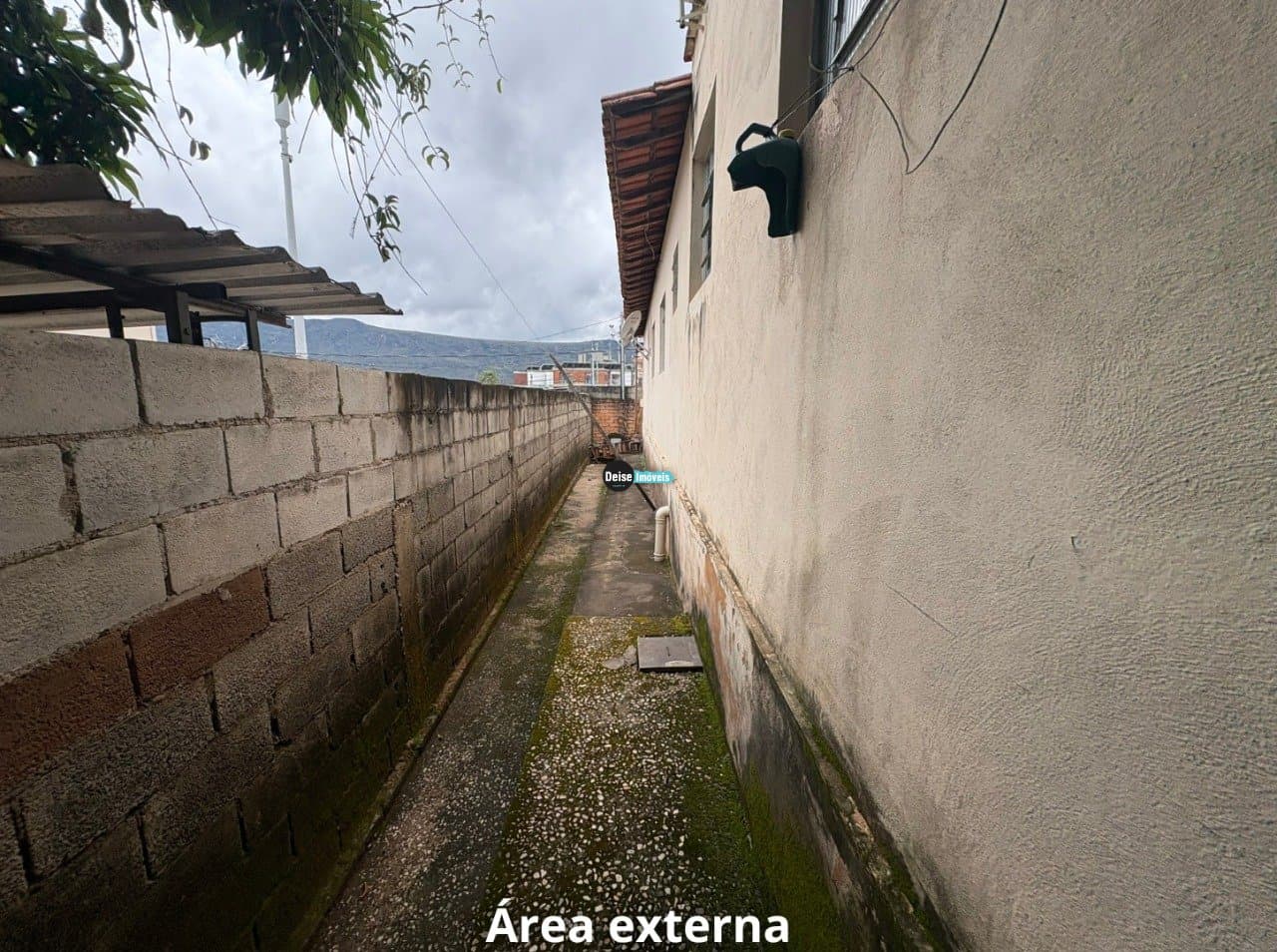 Imagem da propriedade 2360 19