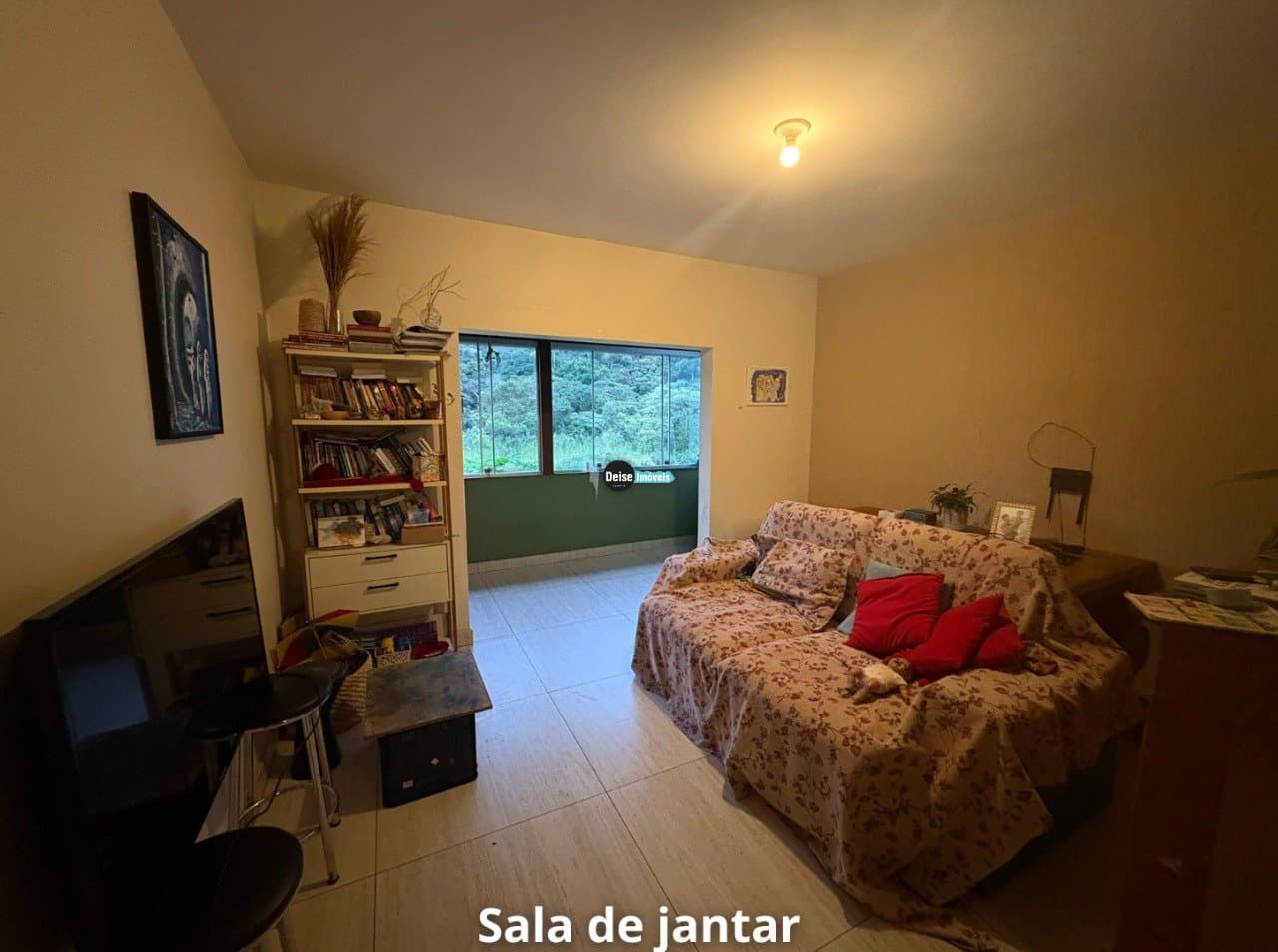 Imagem da propriedade 2361 8